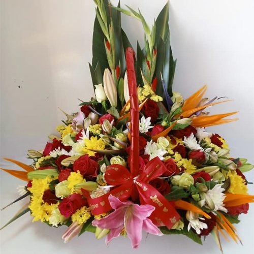 Screenshot_20240527_222259_com.android.gallery3d