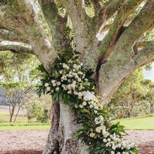 Screenshot_20240527_223621_com.android.gallery3d